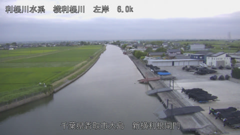 yoko2026061919_image