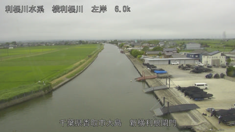 yoko2026062010_image
