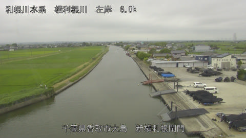 yoko2026062011_image
