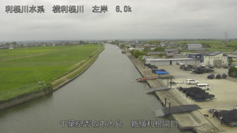 yoko2026062012_image