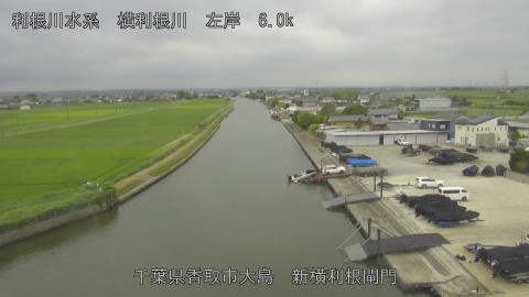 yoko2026062013_image