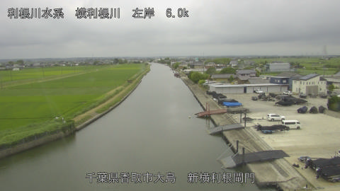 yoko2026062014_image