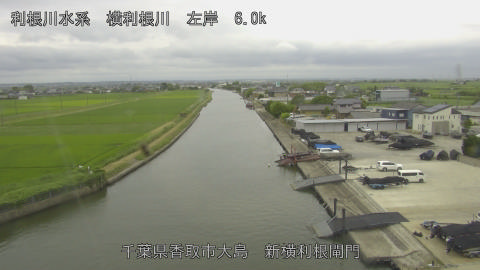 yoko2026062015_image