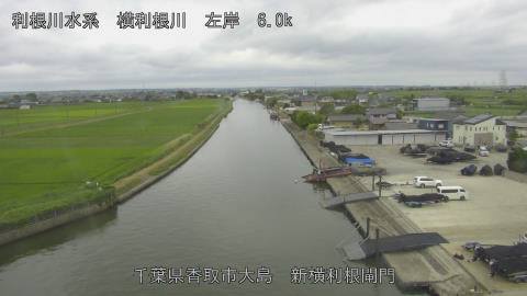 yoko2026062016_image