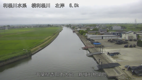 yoko2026062018_image