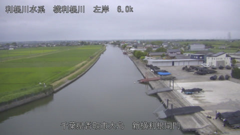 yoko2026062019_image