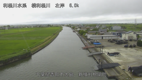 yoko2026062108_image