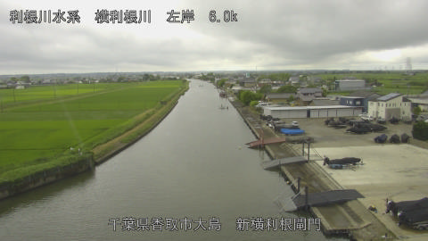 yoko2026062109_image