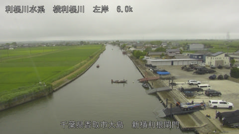 yoko2026062110_image
