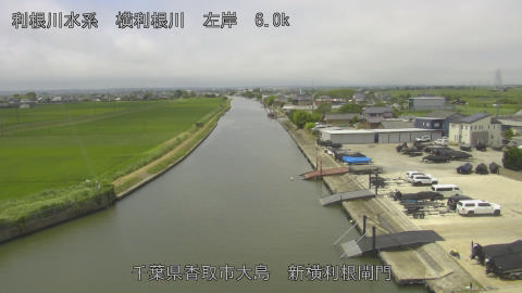 yoko2026062111_image
