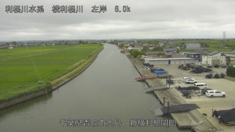 yoko2026062113_image