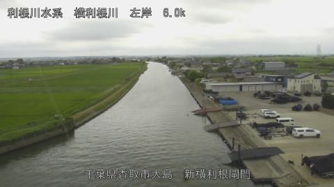 yoko2026062114_image