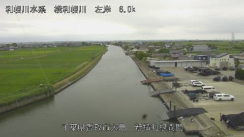 yoko2026062115_image