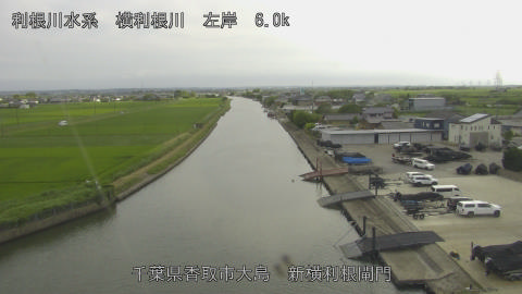 yoko2026062116_image