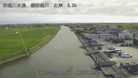 yoko2026062117_image
