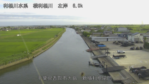 yoko2026062118_image