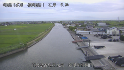yoko2026062119_image