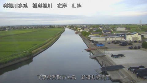 yoko2026062205_image