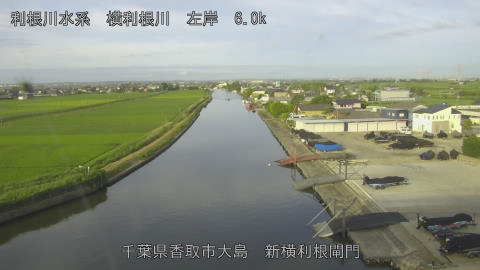 yoko2026062206_image