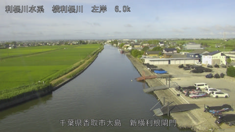 yoko2026062207_image