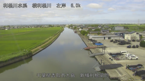 yoko2026062208_image
