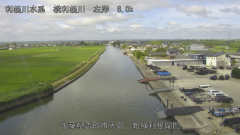 yoko2026062209_image