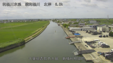 yoko2026062211_image