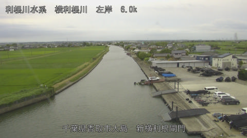 yoko2026062214_image