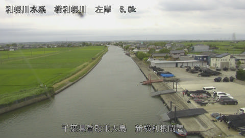 yoko2026062215_image