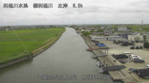 yoko2026062216_image