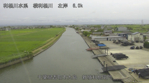 yoko2026062217_image