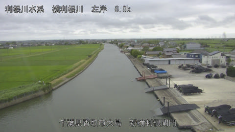 yoko2026062218_image