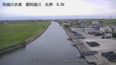 yoko2026062219_image