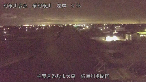 yoko2026062221_image