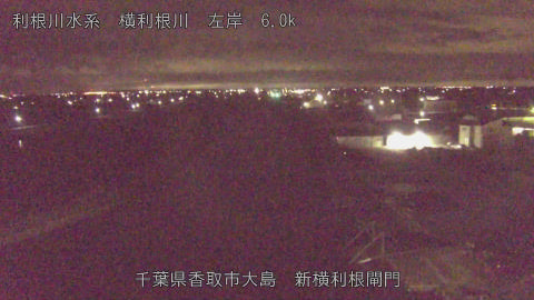 yoko2026062301_image
