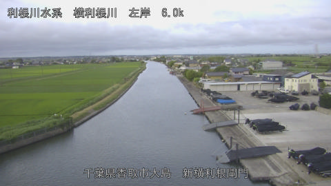 yoko2026062305_image