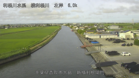 yoko2026062306_image