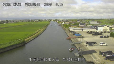 yoko2026062307_image