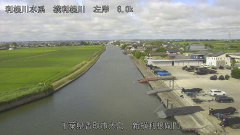 yoko2026062308_image