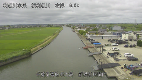 yoko2026062309_image