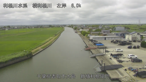 yoko2026062310_image