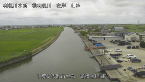 yoko2026062311_image