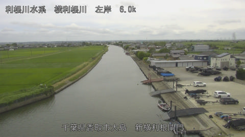 yoko2026062314_image