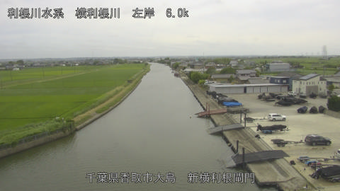 yoko2026062315_image