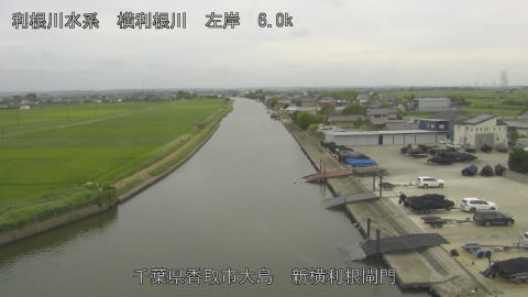 yoko2026062316_image