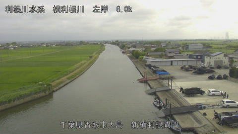yoko2026062317_image