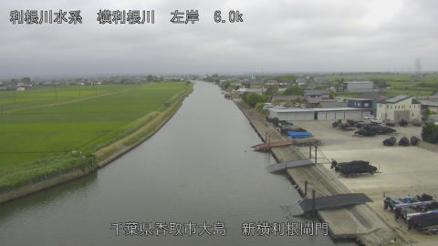 yoko2026062318_image