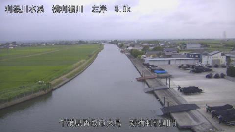 yoko2026062319_image