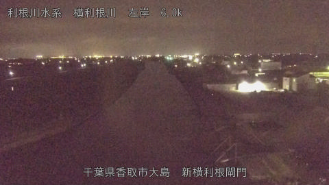 yoko2026062321_image