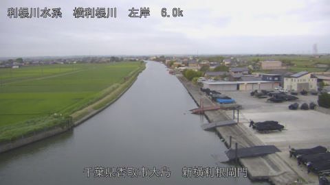yoko2026062405_image